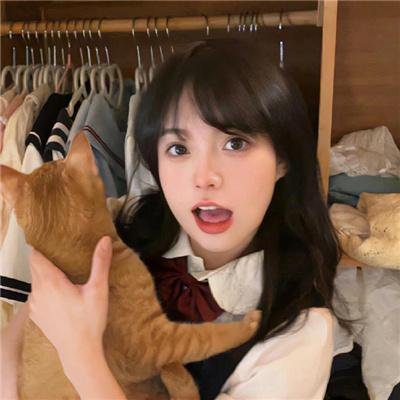 安卡